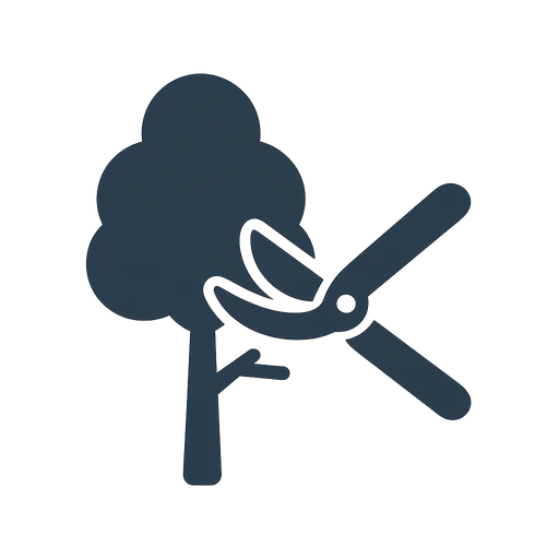 Pruning cuts on mature canopy branches to improve tree structure